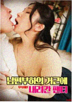 天师府秘录封面
